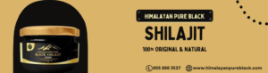 Buy Pure Black Shilajit in Chicago